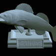 zander-open-mouth-tocenej-39.png fish zander / pikeperch / Sander lucioperca trophy statue detailed texture for 3d printing