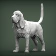 BLOODHOUND1.jpg BLOODHOUND 3D print model