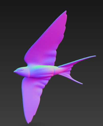 3D model - Swallow 3D model