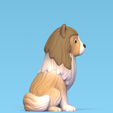 Cod1837-Dog-Rough-Collie-3.png Dog Rough Collie