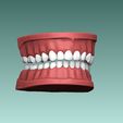 3.jpg Set of Teeth Dental Model