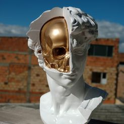 El cráneo de David