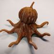 IMG_20191019_170819.jpg Octosquash - Híbrido horrível de Halloween