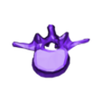 VertebralColumn10.stl Skeleton bones (244 bones teeth included)