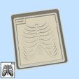 55-1.jpg Science and technology cookie cutters - #55 - x-ray radiology: thorax