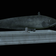 Catfish-statue-12.png fish wels catfish / Silurus glanis statue detailed texture for 3d printing