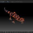 ZBrush1.jpg Japanese Cave Gecko-Goniurosaurus orientalis-STL with Full-Size Texture-High-Polygon 3D Model incl. Zbrush-Originals