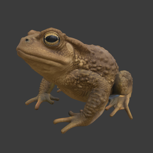 Screenshot-2025-10-30-alle-22.38.40.png Sapo