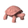 Turtle-low-poly0006.jpg Turtle low poly