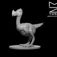 Axe_Beak_ad.JPG Misc. Creatures for Tabletop Gaming Collection