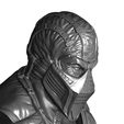14.jpg 3D PRINTABLE COLLECTION BUSTS 9 CHARACTERS 12 MODELS