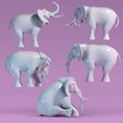 2.png Elefante - Elephant