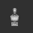 2222.jpg Arnold T-800 bust with glasses for 3d print stl .2 options