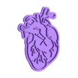 Heart Stamp.stl Body Organs Cookie Cutter Set of 6