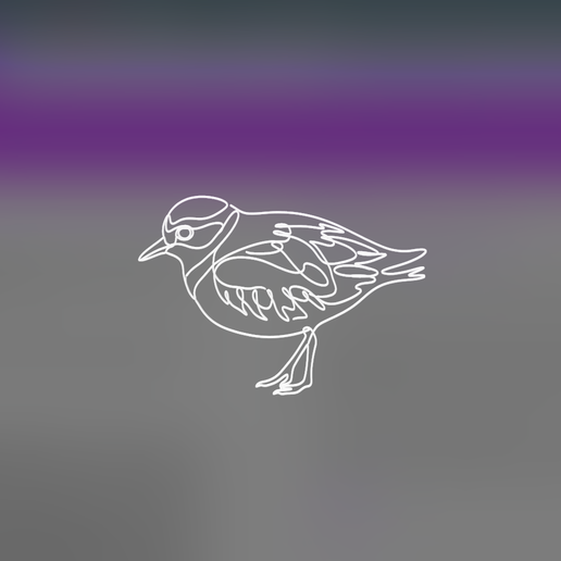 Black-fronted Dotterel 3 lineart 3d printed 3D model preview