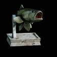 Bass-trophy-6.png Largemouth Bass / Micropterus salmoides fish in motion trophy statue detailed texture for 3d printing