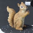 Squirrel-Scanned-1.jpg Cute squirrel with hazelnut