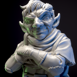 1_Close-Camera-1.png Gnome traveler