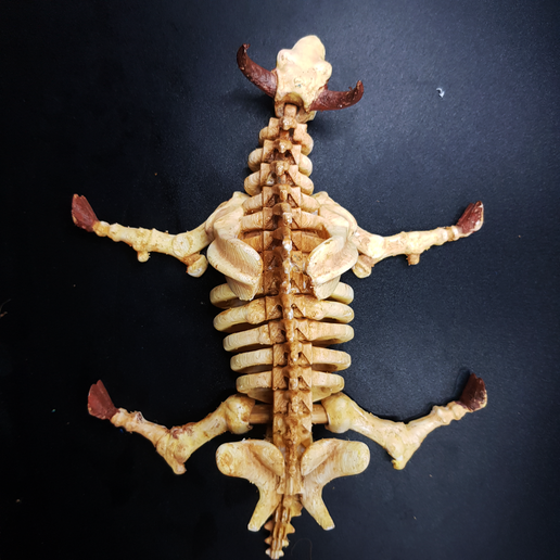 🦬 bison_skeleton_flexi_print_in_place・ STL File for 3D printing・Cults