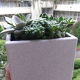 Capture d’écran 2017-05-12 à 18.15.52.png cement like succulent pot by orangeteacher