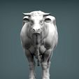 Bull4.jpg Bull 3D print model