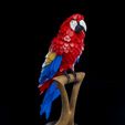 Macaw-Feather-Puzzle-2.jpg Macaw Feather Puzzle