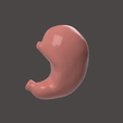 1.png STOMACH SEGMENTED MODEL