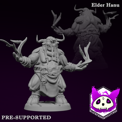 elder-hanu.png Fichier 3D Aîné Hanu | Tribu Hoavari・Design pour imprimante 3D à télécharger