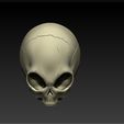 1.jpg GREY ALIEN SKULL