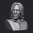 snapebustoz222.jpg Файл STL Северус Снейп Гарри Поттер・3D-печатная модель для загрузки