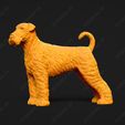 154-Airedale_Terrier_Pose_02.jpg Airedale Terrier Dog 3D Print Model Pose 02