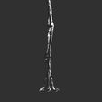 Rendu_Test_01.jpg Life size baby T-rex skeleton - Part 03/10