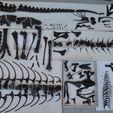 DSC_0118_1500px.jpg OBJ-Datei Life size baby T-rex skeleton - Part 01/10・Modell für 3D-Drucker zum Herunterladen