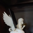 Screenshot-2025-04-27-at-8.26.51 PM.png Pegasus Book and Tablet Display