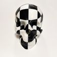 IMG_6288.jpeg Cubic Skull