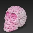 Snimok-ekrana-2025-12-19-v-12.46.03.png scull brain