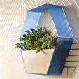 hexagonplanter.jpg Hexagon planter