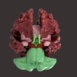 8.png CLUSTER OF NEURAXIS HUMAN BRAIN SEGMENTED