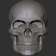 gfhfghh.jpg Skull head for action figures