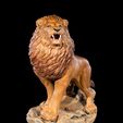 The-Asiatic-Lion-Resin-1.jpg The Asiatic Lion