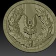 pic-2.jpg SAS Badge / Shield design