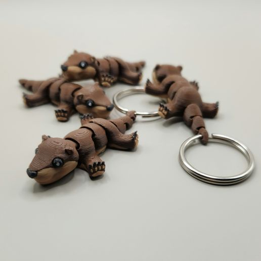 20250117_184024.jpg Winziger Otter