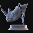 01.png Rhinoceros