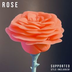 Rose_photo3.jpg Archivo STL gratis Rosa・Objeto para impresora 3D para descargar