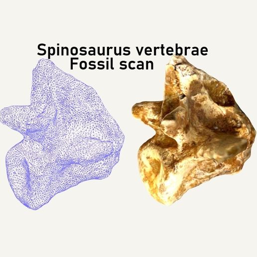 Dinosaur Fossil 3D Scan Spinosaurus