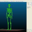 3D print.jpg Human skeleton