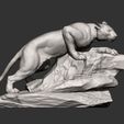 panther-on-stone9.jpg panther on stone 3D print model