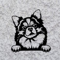 Sin-título.jpg chihuahua deco dog on wall deco