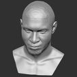 18.jpg Usher bust for 3D printing