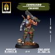 colonel-2.jpg Commando Colonel